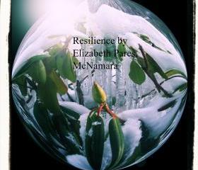 Resiliencce 18 x 24 Print