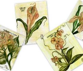 Set of 4 Botanical Prints 8 x10 signed by Artist